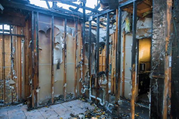 Professional Fire Damage Assessment technician working in Coal Creek, CO